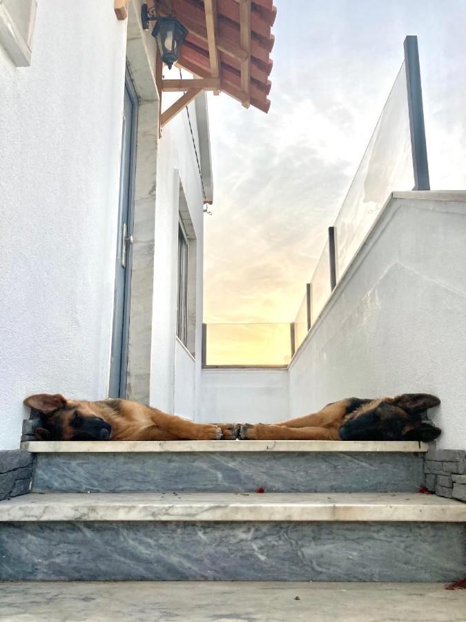 Ferienwohnung Toca Do Lobo Charneca  Exterior foto